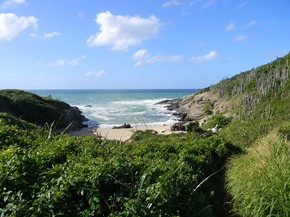 Download Matar la tema da praia nudista matar HD