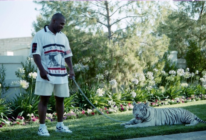 À la Mike Tyson, Mayweather ganha tigre de presente de Natal antecipado