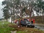 Motorista morre após bater carro contra eucalipto em rodovia do DF