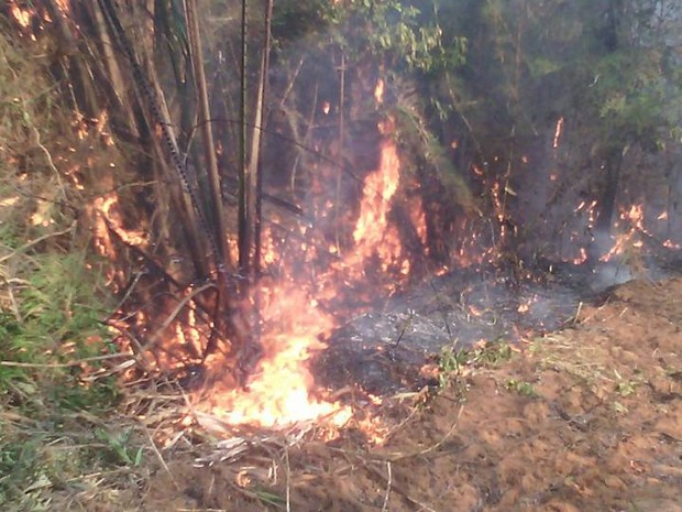 Bombeiros tentam há três dias conter o fogo no local (Foto: Jéssica Lagares) Bombeiros tentam há três dias conter o fogo no local (Foto: Jéssica Lagares)