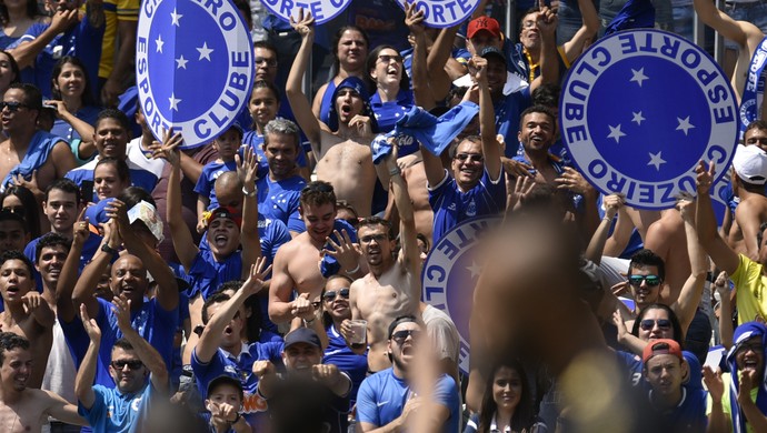 Torcida do Cruzeiro, no Mineirao (Foto: Douglas Magno)