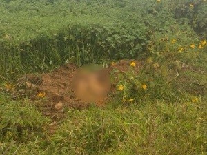 Homem é preso suspeito de matar e enterrar a mulher em Caldas Novas, Goiás (Foto: Divulgação/Polícia Civil)