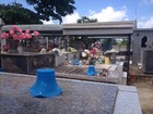Focos do mosquito da dengue são eliminados dos cemitérios de Macapá