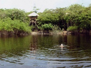 Juma Amazon Lodge está localizada a 100 km a sudeste de Manaus (Foto: Girlene Medeiros / Do G1 AM)