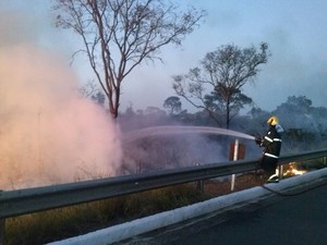 Área de um hectare foi atingida pelo fogo (Foto: Divulgação / Corpo de Bombeiros)