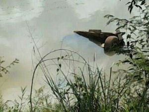 Carro ficou submerso no rio; vítima não resistiu e morreu no local (Foto: Divulgação)