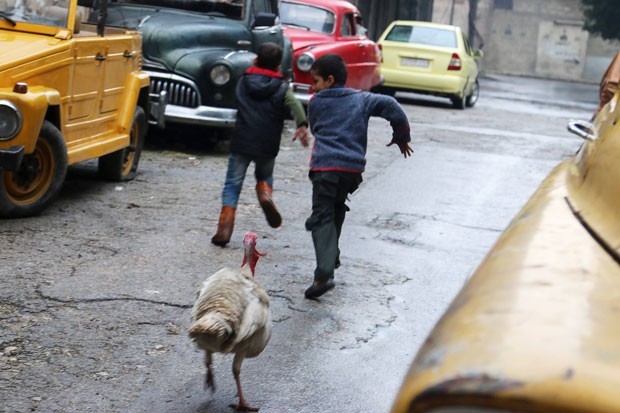 Ave afasta quem se aproxima dos veículos de Mohamed Badr al-Din (Foto: Abdalrhman Ismail/Reuters) Ave afasta quem se aproxima dos veículos de Mohamed Badr al-Din (Foto: Abdalrhman Ismail/Reuters)