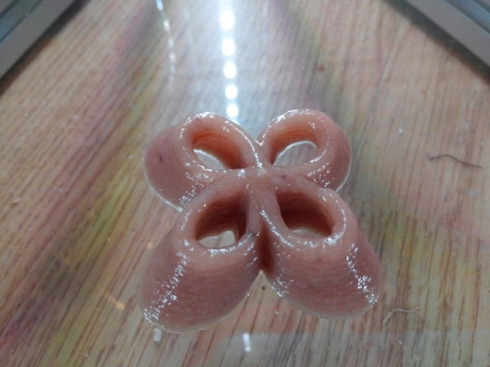 Resultado da impressão é uma flor, feita de banana, amido de batata e um pouco de suco de laranja (Foto: Reprodução/3DCooks)