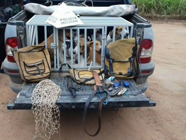 Grupo é detido por caçar espécimes da fauna silvestre em Itaúna (Foto: Polícia de Meio Ambiente/Divulgação)