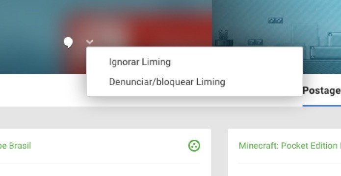 Opção de ignorar usuário no Google+ (Foto: Reprodução/André Sugai)