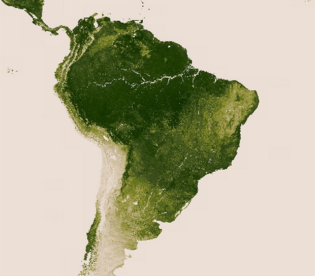 Área de vegetação existente no Brasil entre abril de 2012 e abril de 2013 (Foto: Divulgação/Nasa)