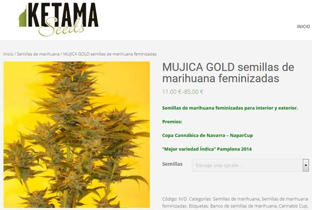 Semente produzida por empresa com sede na Espanha tem nome em homenagem ao ex-presidente do Uruguai, José Mujica (Foto: Reprodução/Ketama Seeds) Semente produzida por empresa com sede na Espanha tem nome em homenagem ao ex-presidente do Uruguai, José Mujica (Foto: Reprodução/Ketama Seeds)