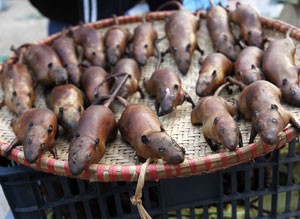 Comidas feitas com ratos são comuns na China (Foto: Reuters)
