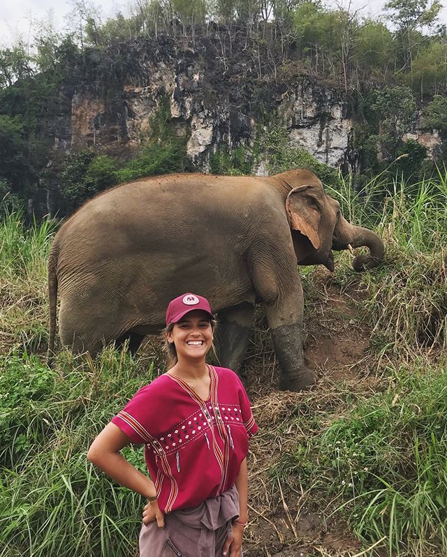 Giulia Costa se diverte dando banho em elefantes (Foto: Reprodução/Instagram)