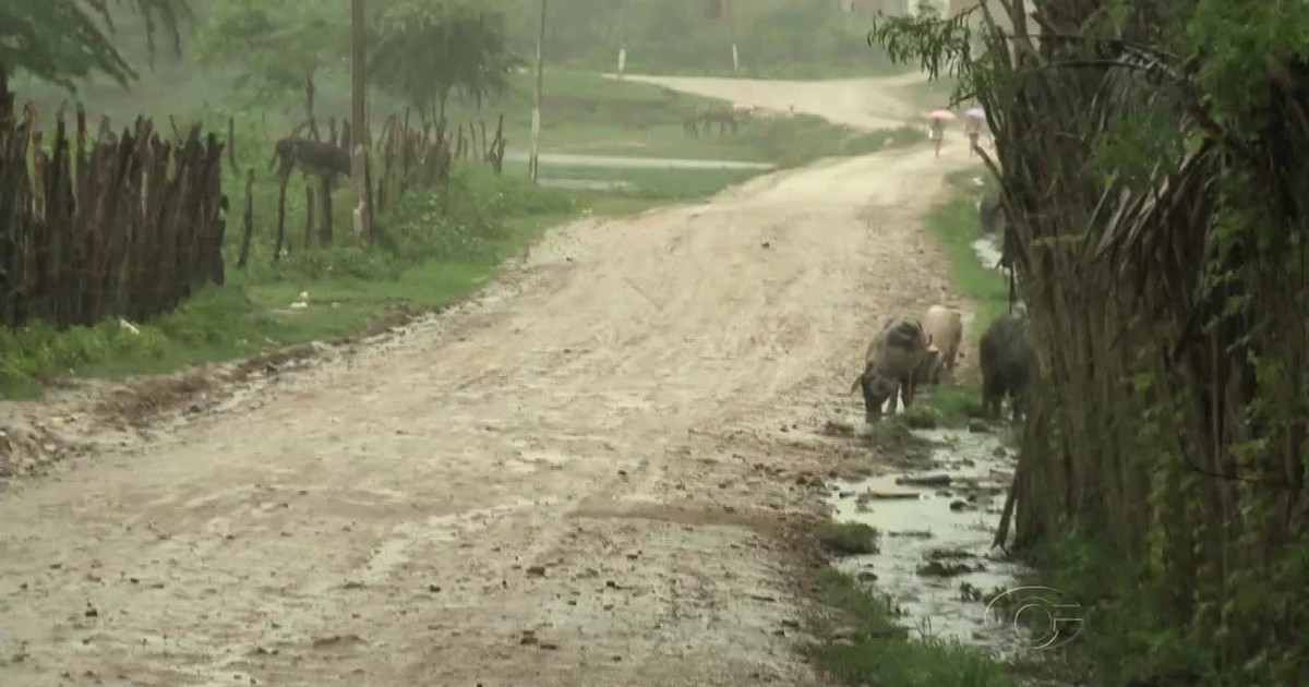 G1 - Esgoto a céu aberto preocupa moradores da cidade de Batalha, AL