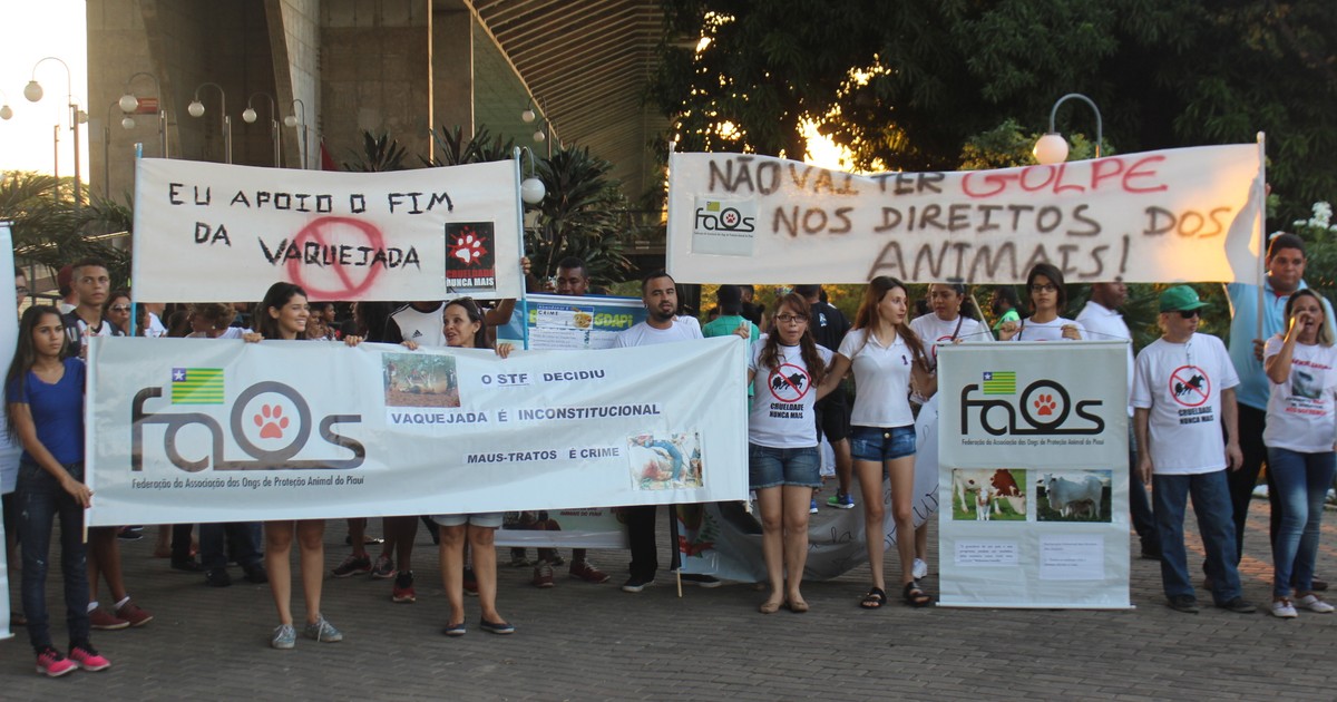 G1 - Ativistas realizam protesto contra PEC da vaquejada em ... - Globo.com