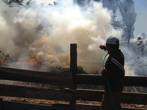 Morador tentou apagar fogo com uma mangueira (Foto: Leile Ribeiro)