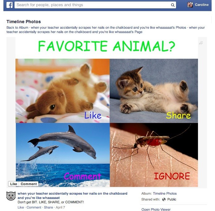 Facebook quer combater posts como este (Foto: Divulgação/Facebook) (Foto: Facebook quer combater posts como este (Foto: Divulgação/Facebook))