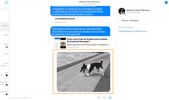 O GIF será enviado para seu amigo no Messenger (Foto: Reprodução/Barbara Mannara)