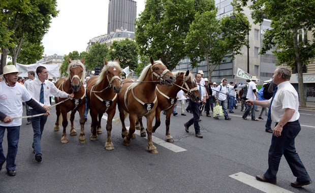Cavalos em protesto de fazendeiros franceses neste domingo (23) em Paris (Foto: AFP PHOTO / MIGUEL MEDINA)