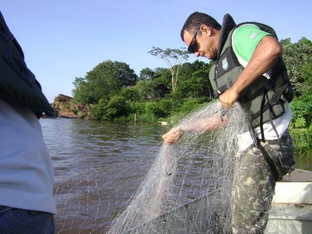 Periodo da Piracema iniciou no último sábado (1) no Tocantins (Foto: Divulgação/Naturatins)