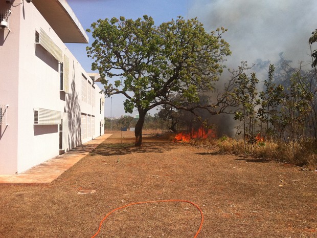 As chamas chegaram perto de um prédio do Centro de Desenvolvimento Tecnológico da UnB, na tarde desta quinta-feira (6)  (Foto: Lucas Nanini)