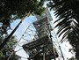 Torre localizada 'acima' de Manaus vira ponto de observação e pesquisa