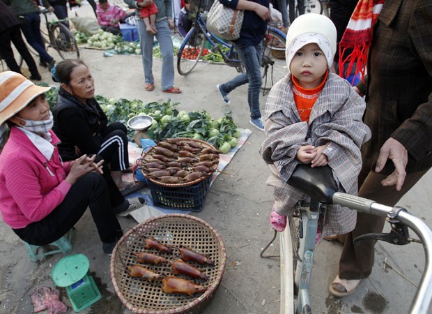 No mercado vietnamita da vila de Canh Nau, a cerca de 40 km de Hanói, ratos abatidos são vendidos como item de alimentação, ao lado de legumes e vegetais.  Cerca de 100 kg de ratos são vendidos por dia na aldeia (Foto: Reuters)