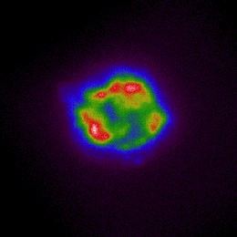 Imagem polimétrica da Cassiopeia A, feita a partir de dados coletados pelo IXPE. As cores variando em roxo, azul, vermelho e branco correspondem ao brilho crescente das luzes raio-X. (Foto: NASA)