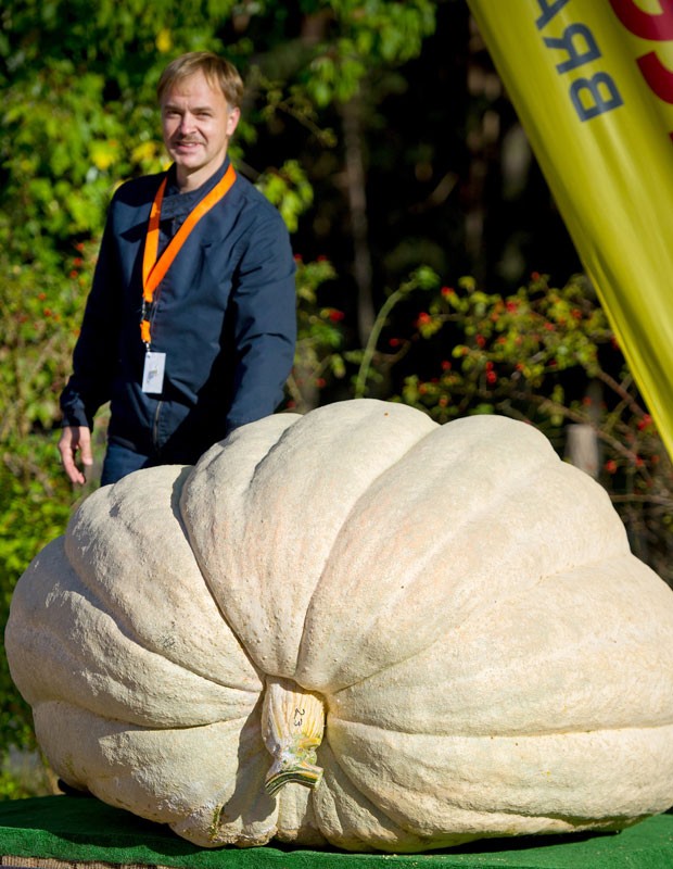 Fazendeiro posa ao lado da abóbora vencedora, de 672 quilos. (Foto: Patrick Pleul/AFP)