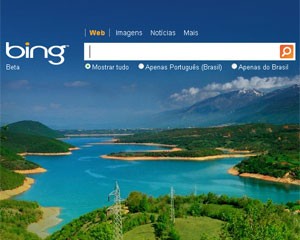 Bing (Foto: Reprodução)