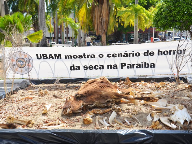 União Brasileira de Municípios faz ato público da seca na Paraíba (Foto: Walter Paparazzo/G1)