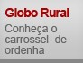 Conheça o carrossel de ordenha (Editoria de Arte/G1)