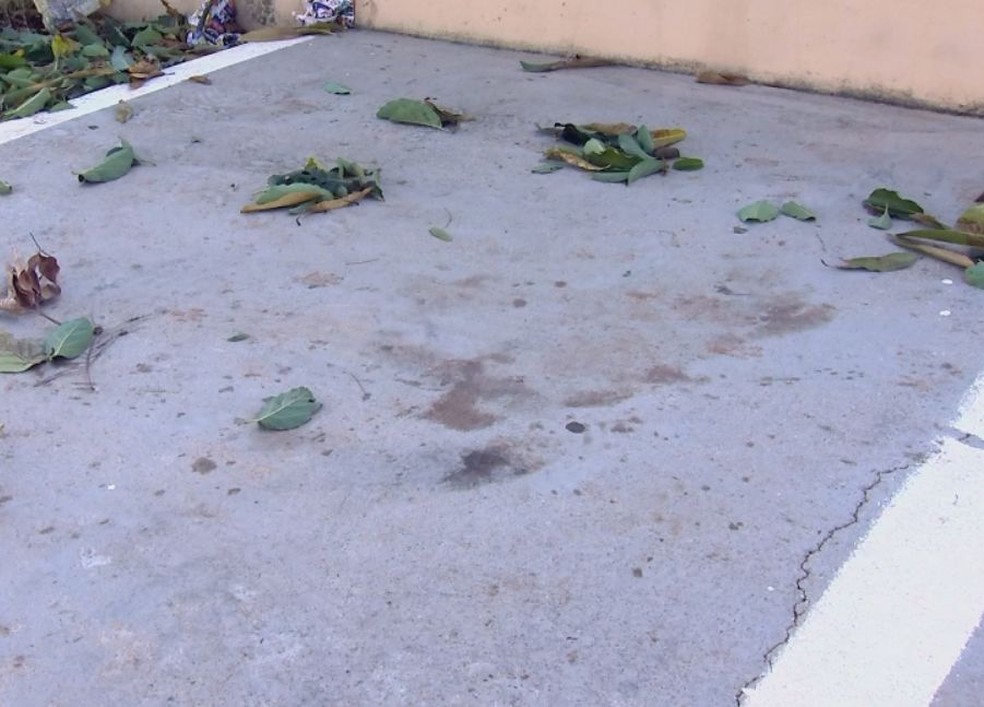 Local onde ocorreu o ataque ainda dá para ver as marcas de sangue (Foto: Reprodução / TV TEM )