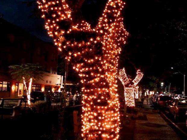 G1 - Decoração de Natal em Águas com 140 mil luzes é atração para turista -  notícias em Piracicaba e Região