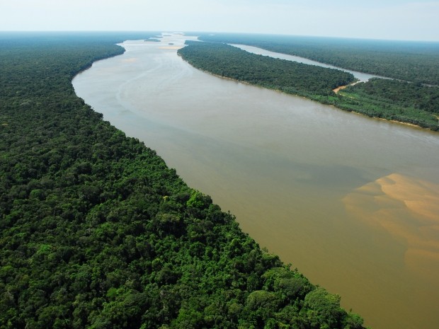 Pesquisadores exploram mudanças de 6 mil anos na fauna da Amazônia (Foto: Fabio Rubinato) Pesquisadores exploram mudanças de 6 mil anos na fauna da Amazônia (Foto: Fabio Rubinato)