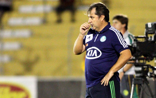 Gilson Kleina jogo Palmeiras Mirassol derrota (Foto: José Luis Silva / Agência Estado)