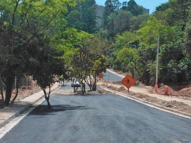 Pavimentação foi iniciada antes da remoção das árvores em obra da Avenida Perimetral Paraisópolis, em São Paulo, SP (Foto: Helder Lima Gante/VC no G1)