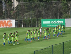 Palmeiras grupo treino elenco (Foto: Gustavo Serbonchini / globoesporte.com)