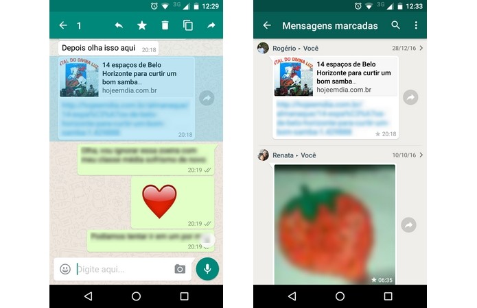 Mensagens favoritas no WhatsApp (Foto: Reprodução/Raquel Freire)