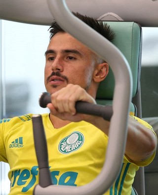 Willian Palmeiras (Foto: Cesar Greco/Ag Palmeiras/Divulgação)