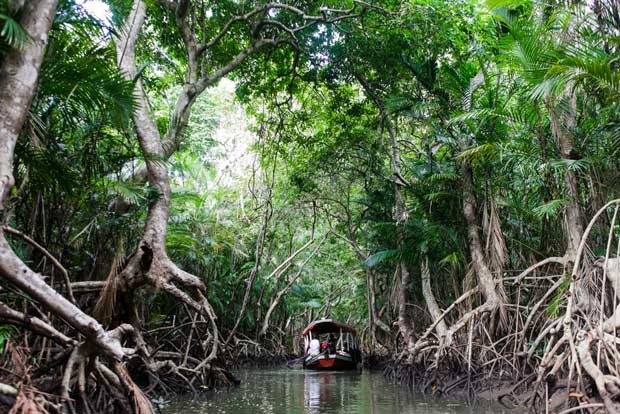 Passeio de barco pela maior floresta alagada do mundo, na Amazônia (Foto: Priscila Olandim / Divulgação)