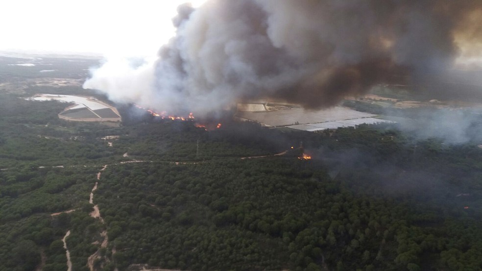 Incêndio em reserva florestal na Espanha ameaça o Parque Nacional Doñana (Foto: ASSOCIATED PRESS)