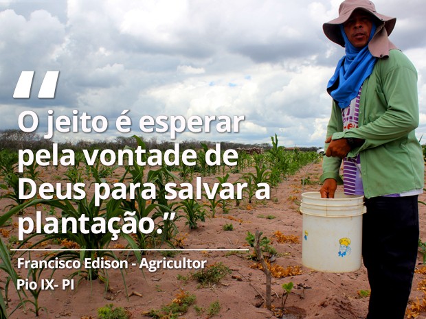 Agricultor depende de carro-pipa para conseguir água e salvar plantação no Piauí (Foto: Catarina Costa/G1 Piauí )