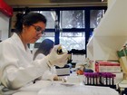 USP avalia 6 mil grávidas para estudar relação entre Zika vírus e microcefalia