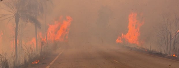 Motorista alega que acidente foi provocado por falta de visibilidade por conta dos focos (Foto: Reprodução/TVCA)