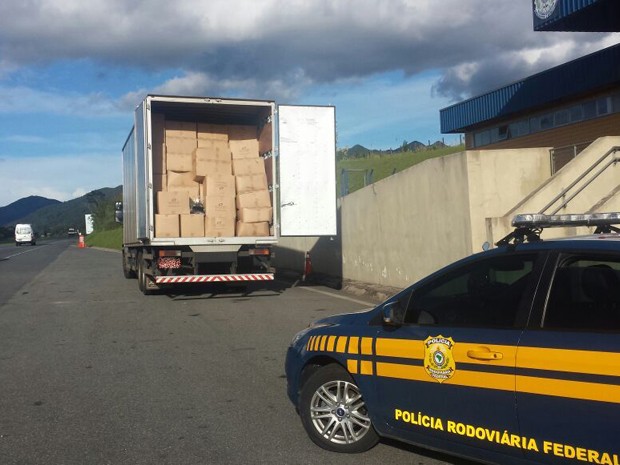 Caminhão trafegava pela rodovia com carga ilegal (Foto: Divulgação/PRF)
