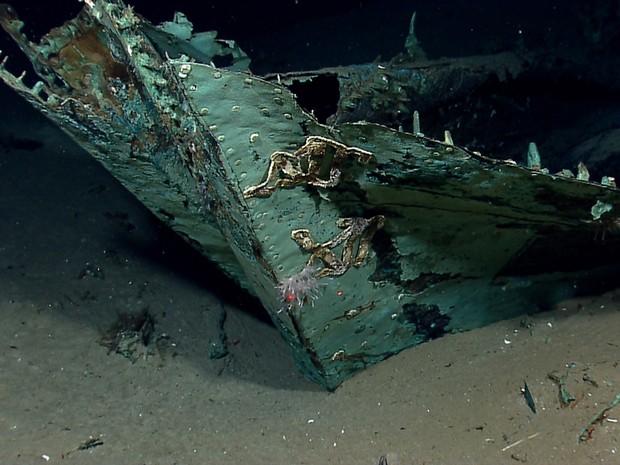 Arque Logos Exploram Navio Naufragado Que Pode Ter Anos Poca Vida