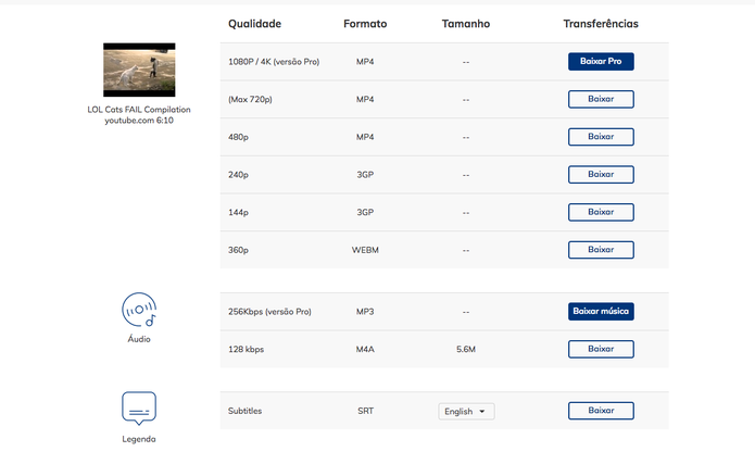 No keepVid, escolha em qual formato você deseja baixar o vídeo do YouTube (Foto: Reprodução) No keepVid, escolha em qual formato você deseja baixar o vídeo do YouTube (Foto: Reprodução)