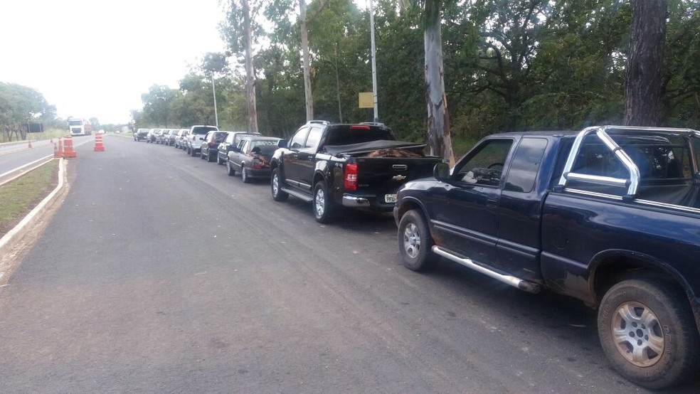 Doze veículos foram apreendidos com carnes (Foto: PRF/Divulgação)